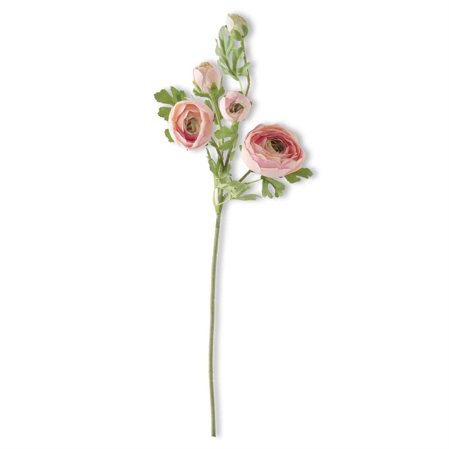 24.5 inch Pink Real Touch 5 Head Ranunculus Stem
