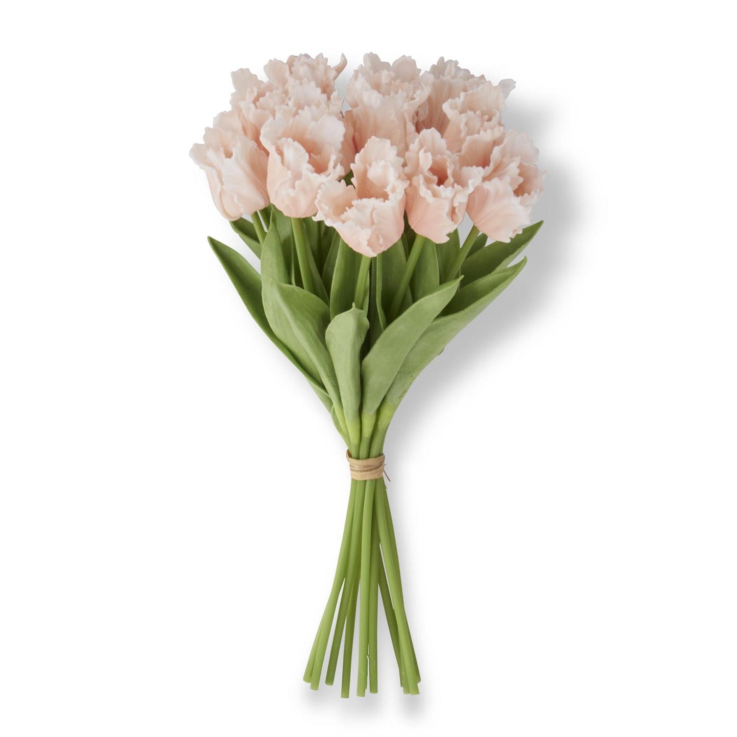 13 inch Light Peach Real Touch Parrot Tulip Bundle