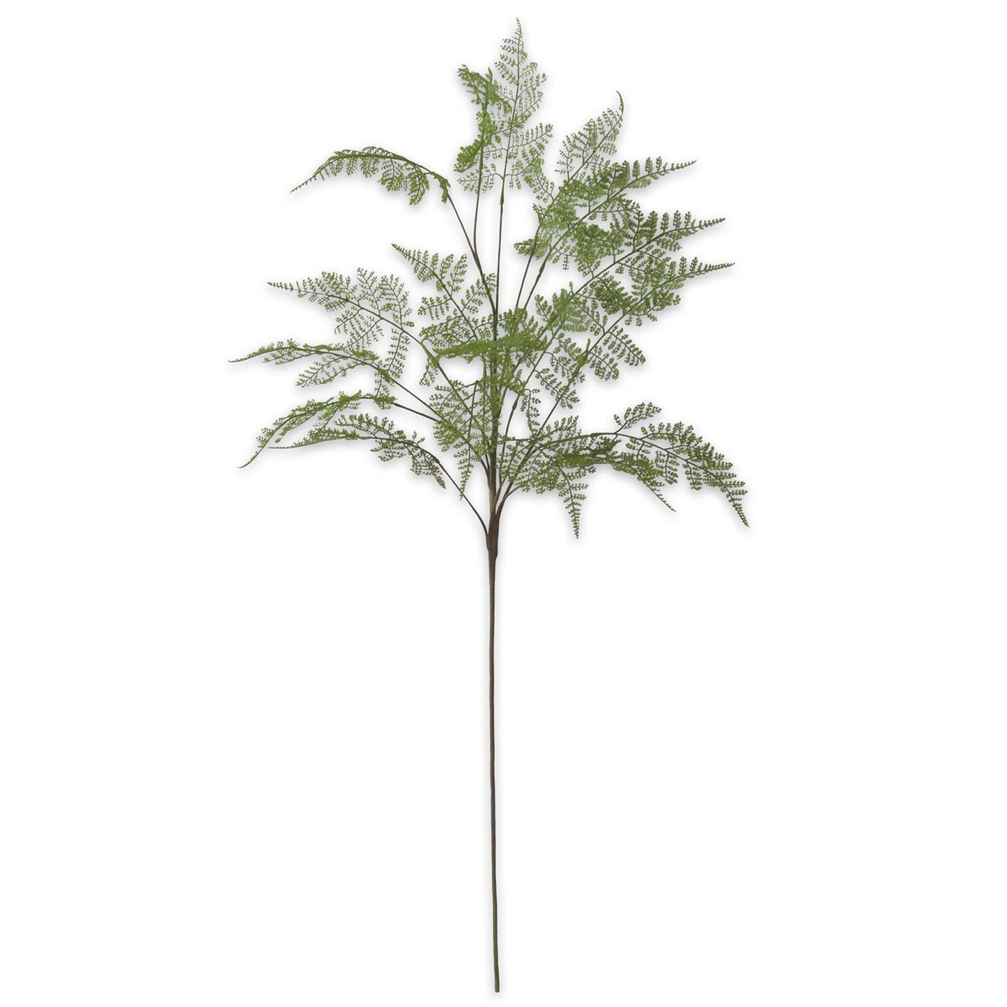 46 inch Real Touch Lace Fern Spray
