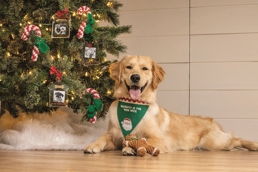 Pet Christmas Rope Toys