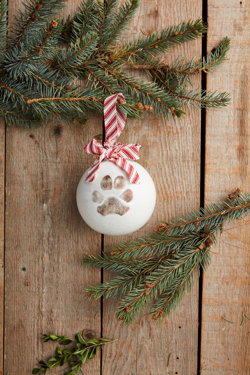 Pet Christmas Paw Print Ornament Kit