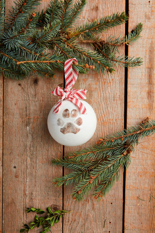 Pet Christmas Paw Print Ornament Kit