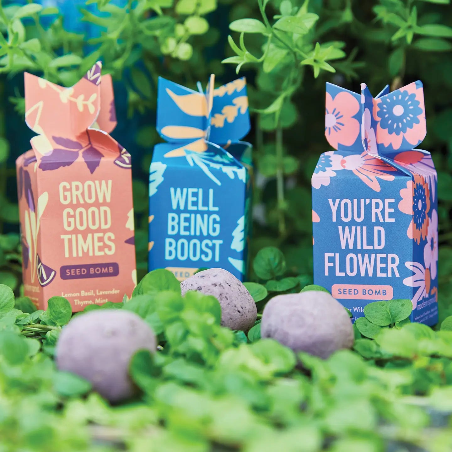 Seed Bomb