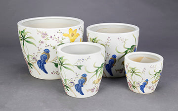 Birds and Flowers  Planter  10 inch