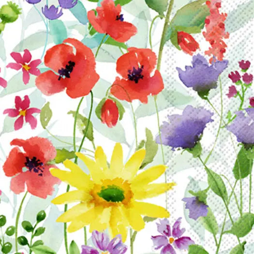 Paper Guest Towels 16 Count Barb