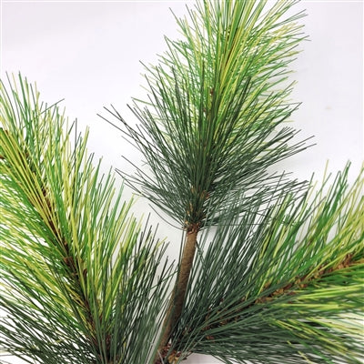 Mini Scotch Pine Spray - Green 17”