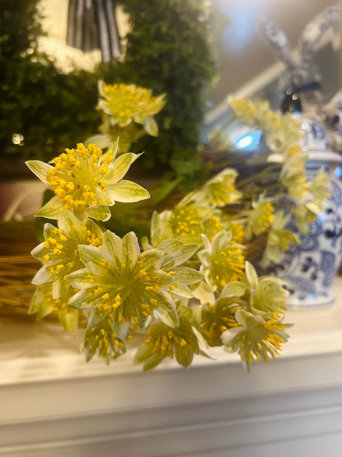 Armeria Spray