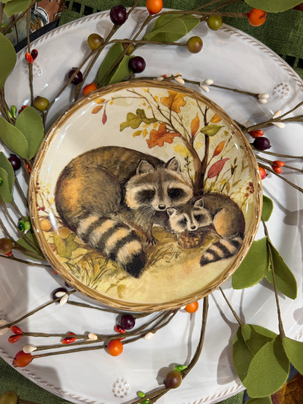 Racoon Canape Plate