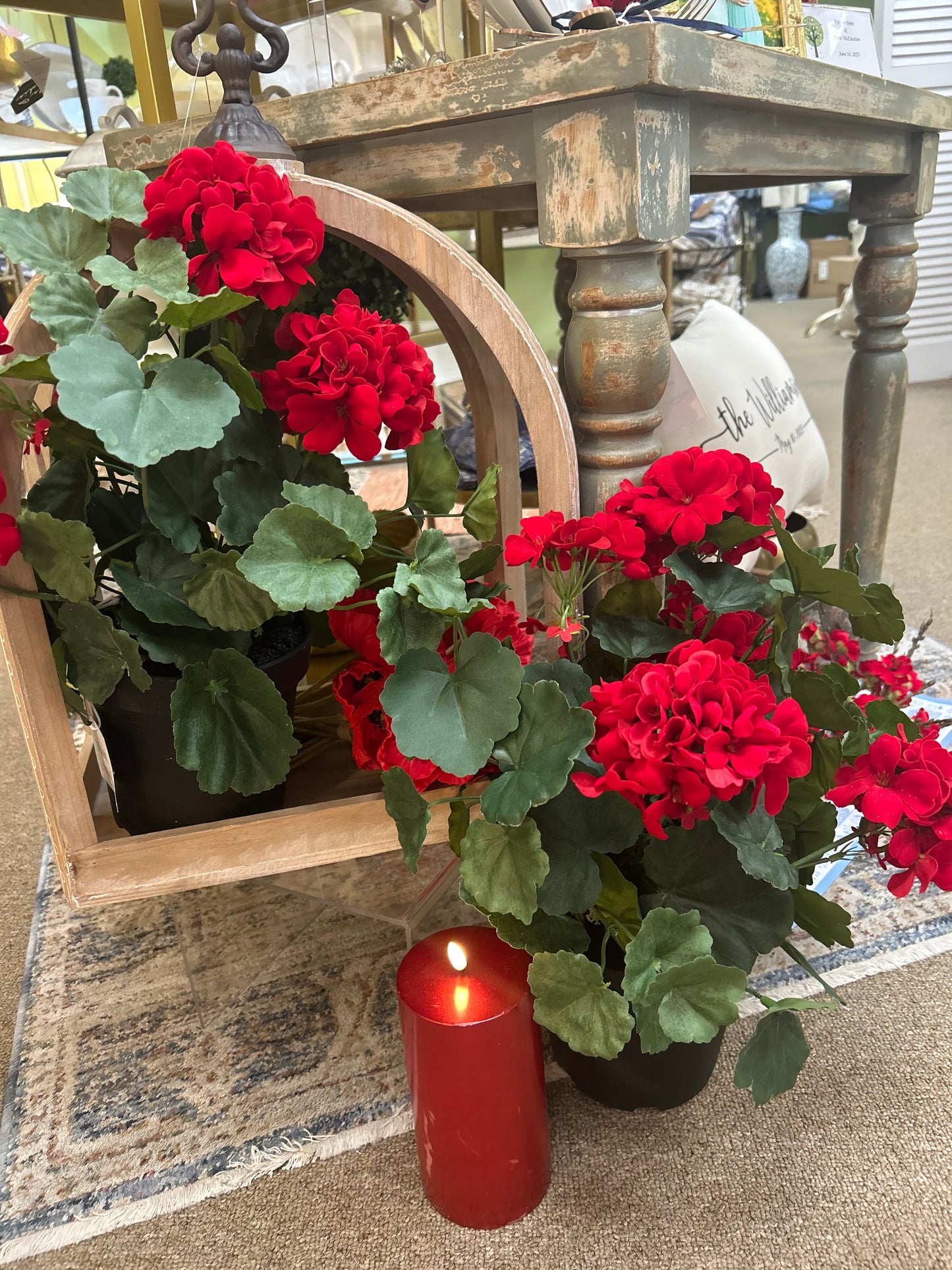 15 inch red Geranium Bush