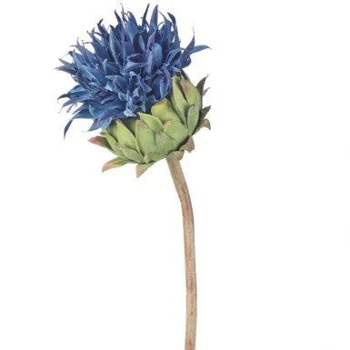 JUST CUT BLUE CARDOON THSTLE 22"