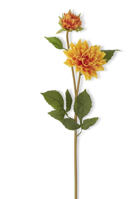 Clear Vase with Dahlia Stems