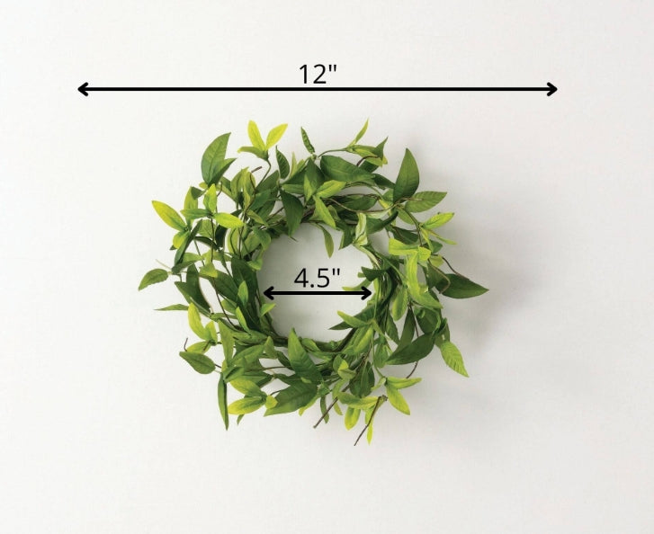 Ruscus Twig Ring 4.5"