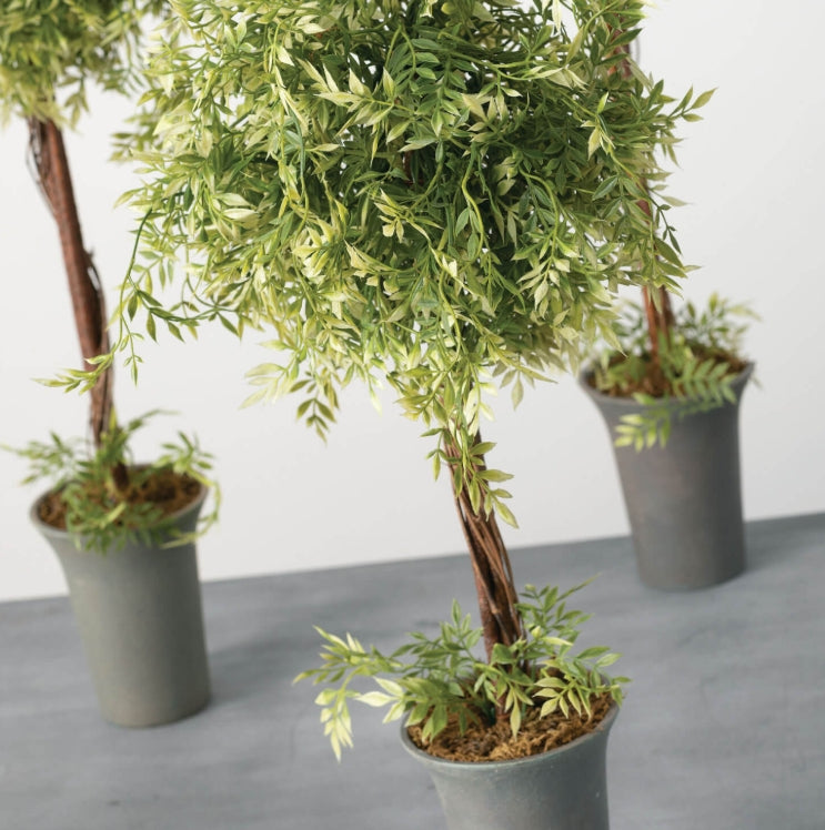 Wisteria Topiary Set of 3