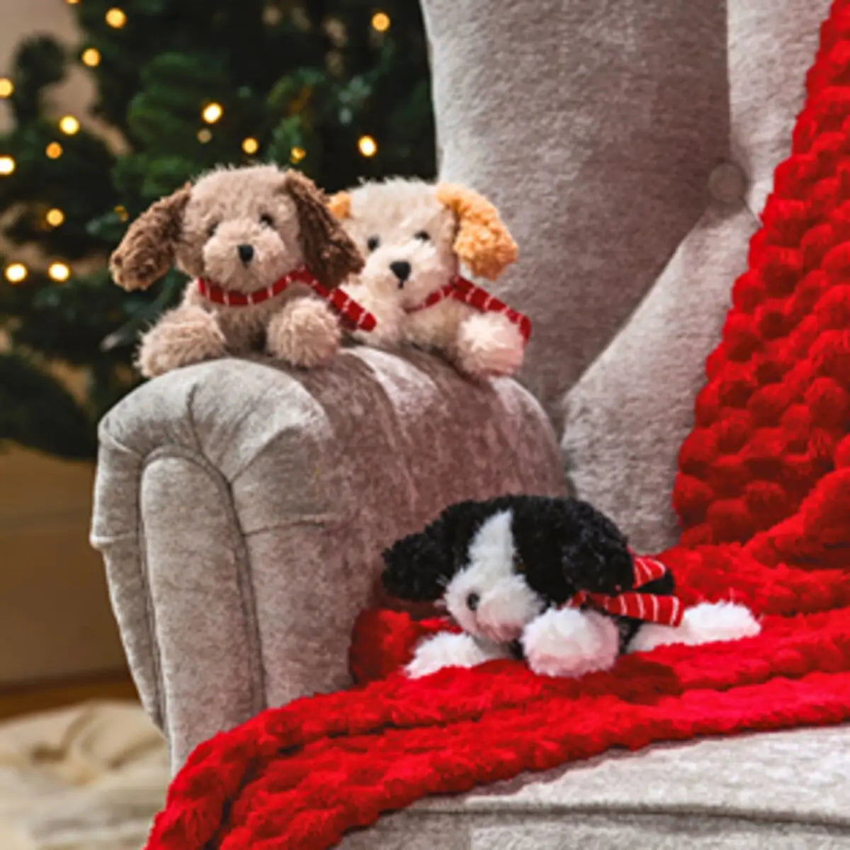 Peppermint Puppies
