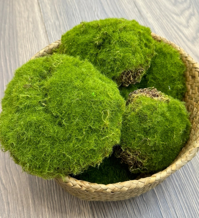 Small Moss Ball