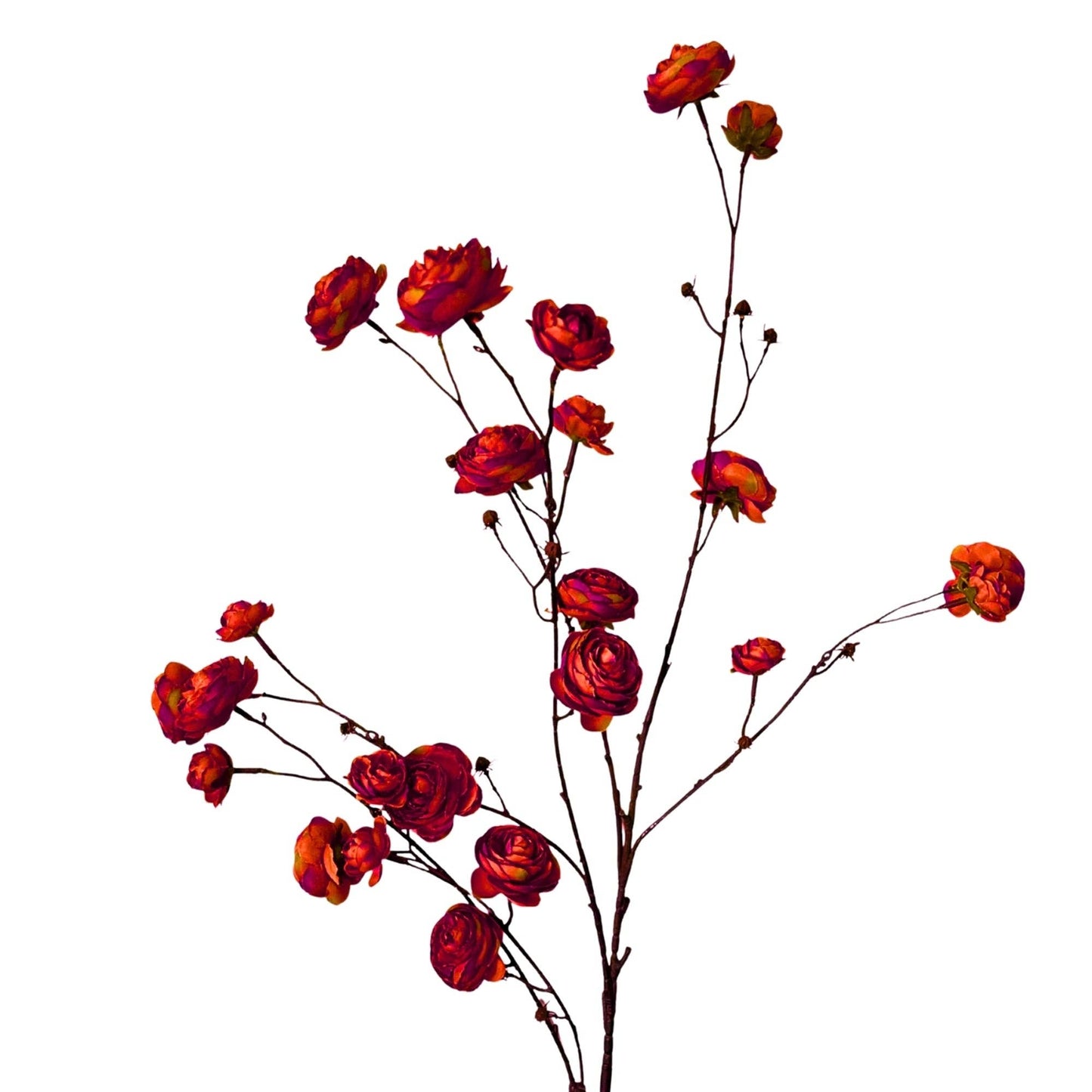Blooming Ranunculus Branch 44" - Red