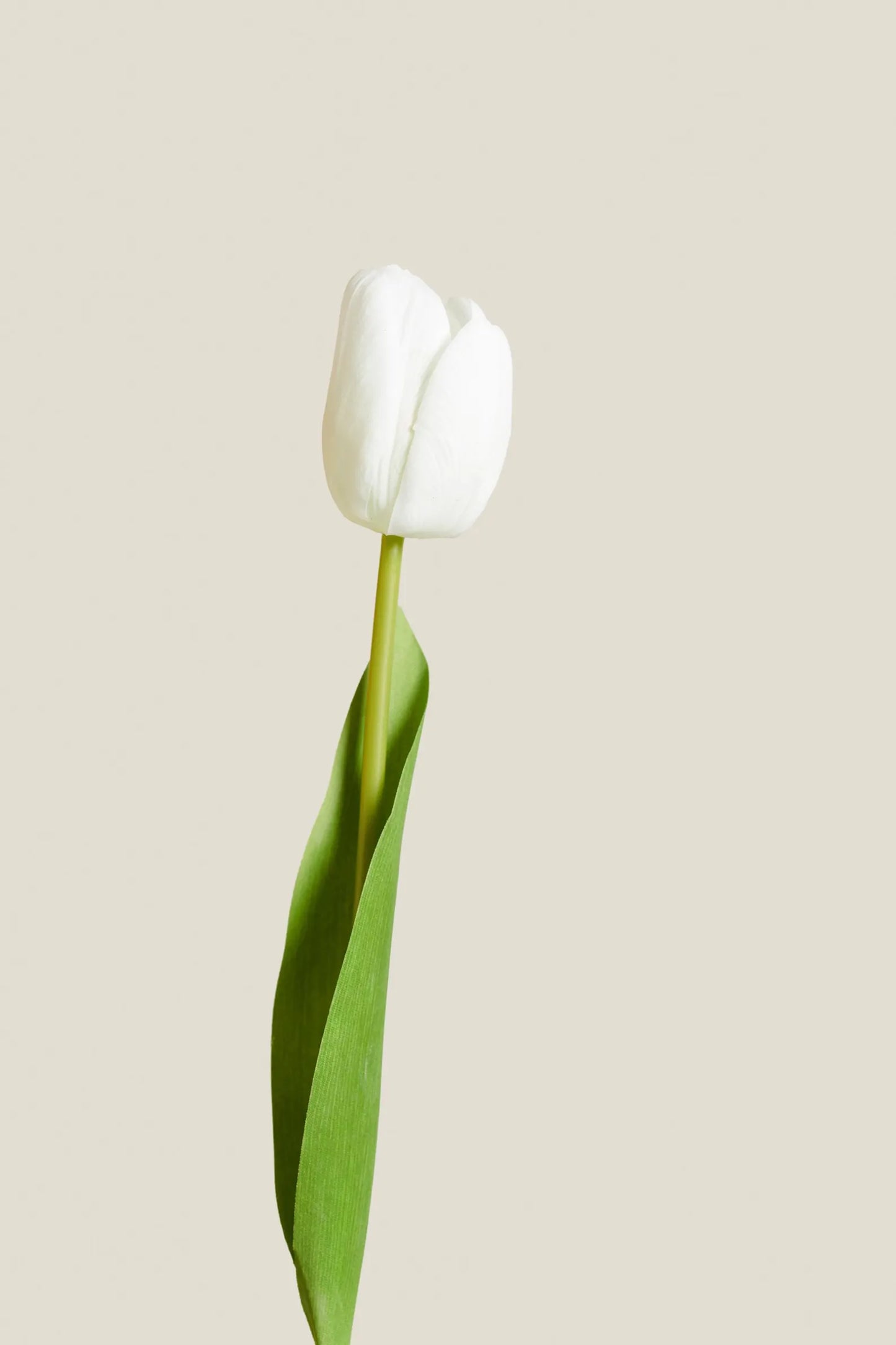 10.5" White Real Touch Mini Tulip Stem