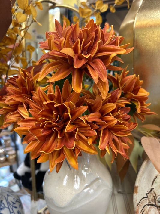Dahlia Bundle Realtouch -Rust