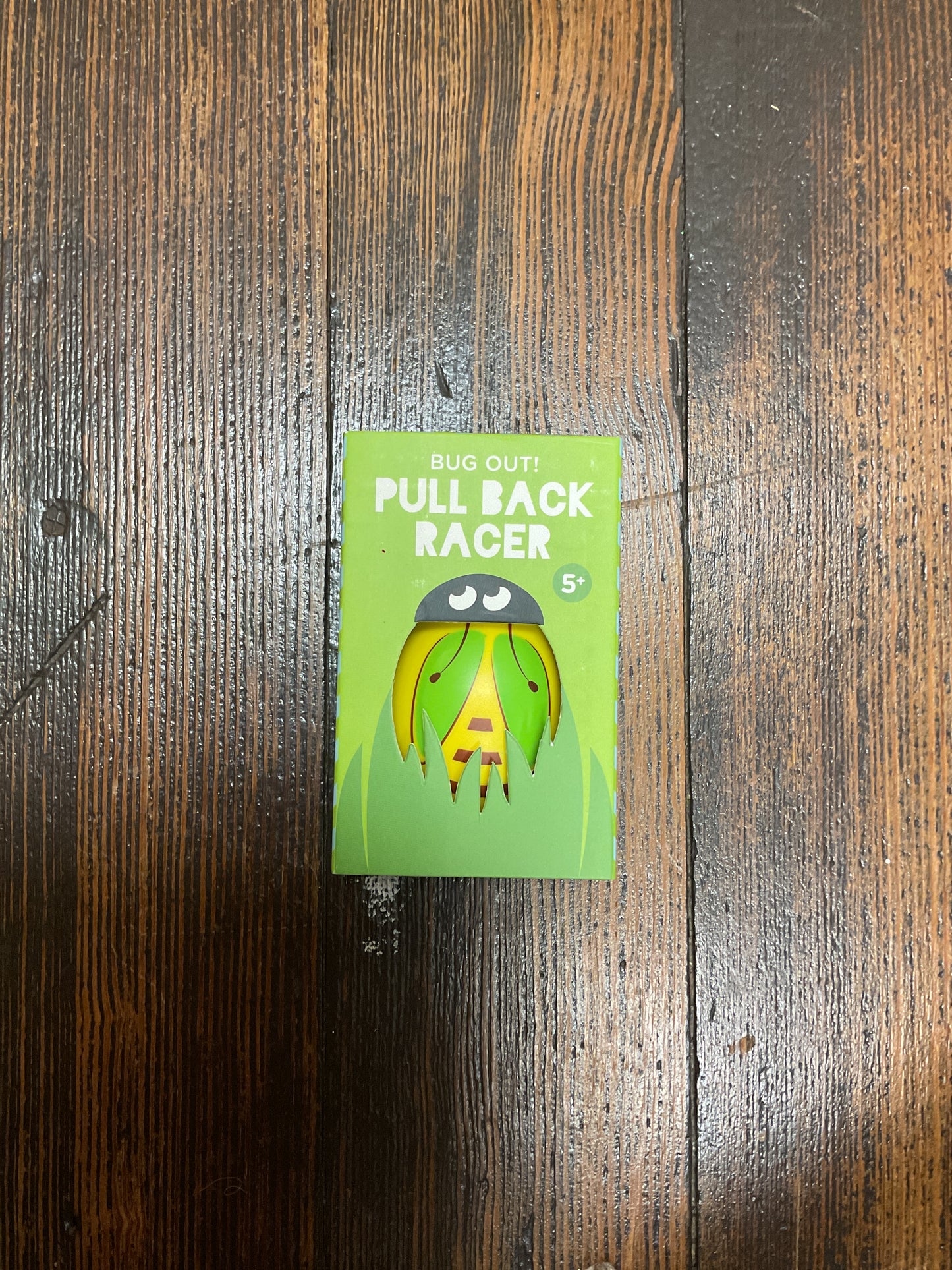 Pull Back Racer Lady Bug
