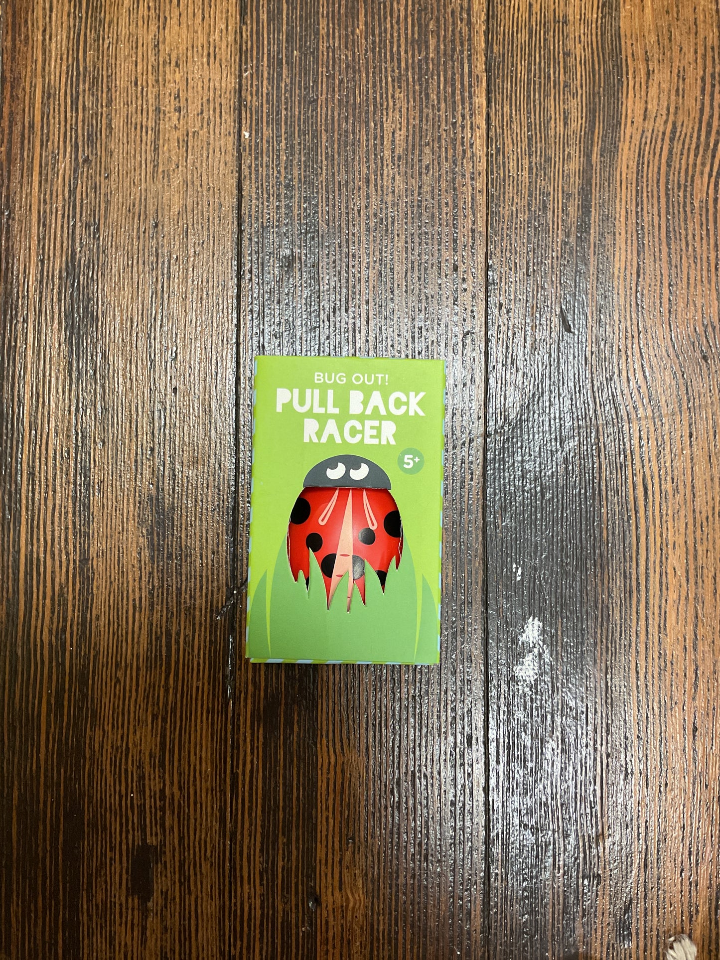 Pull Back Racer Lady Bug