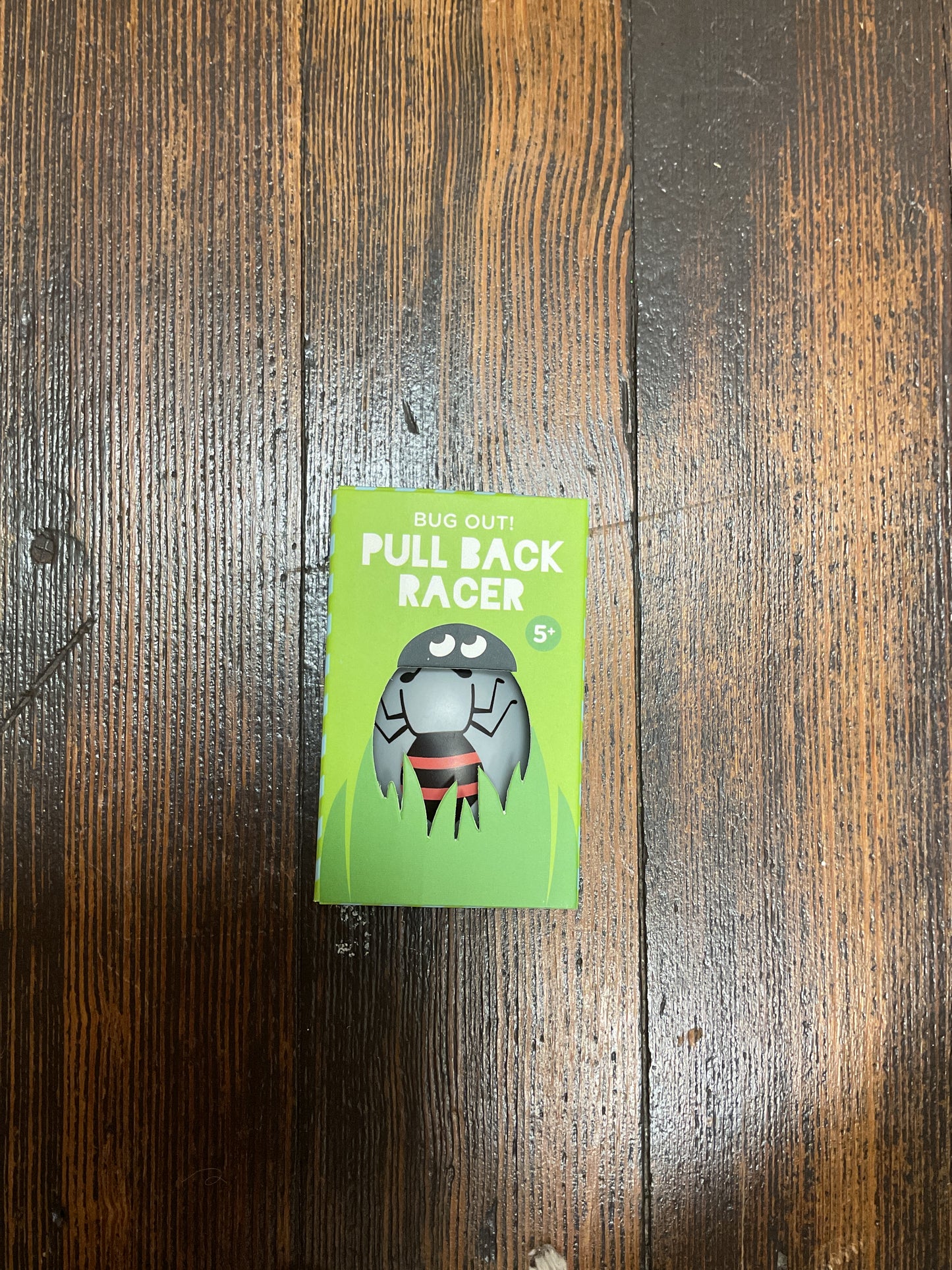 Pull Back Racer Lady Bug