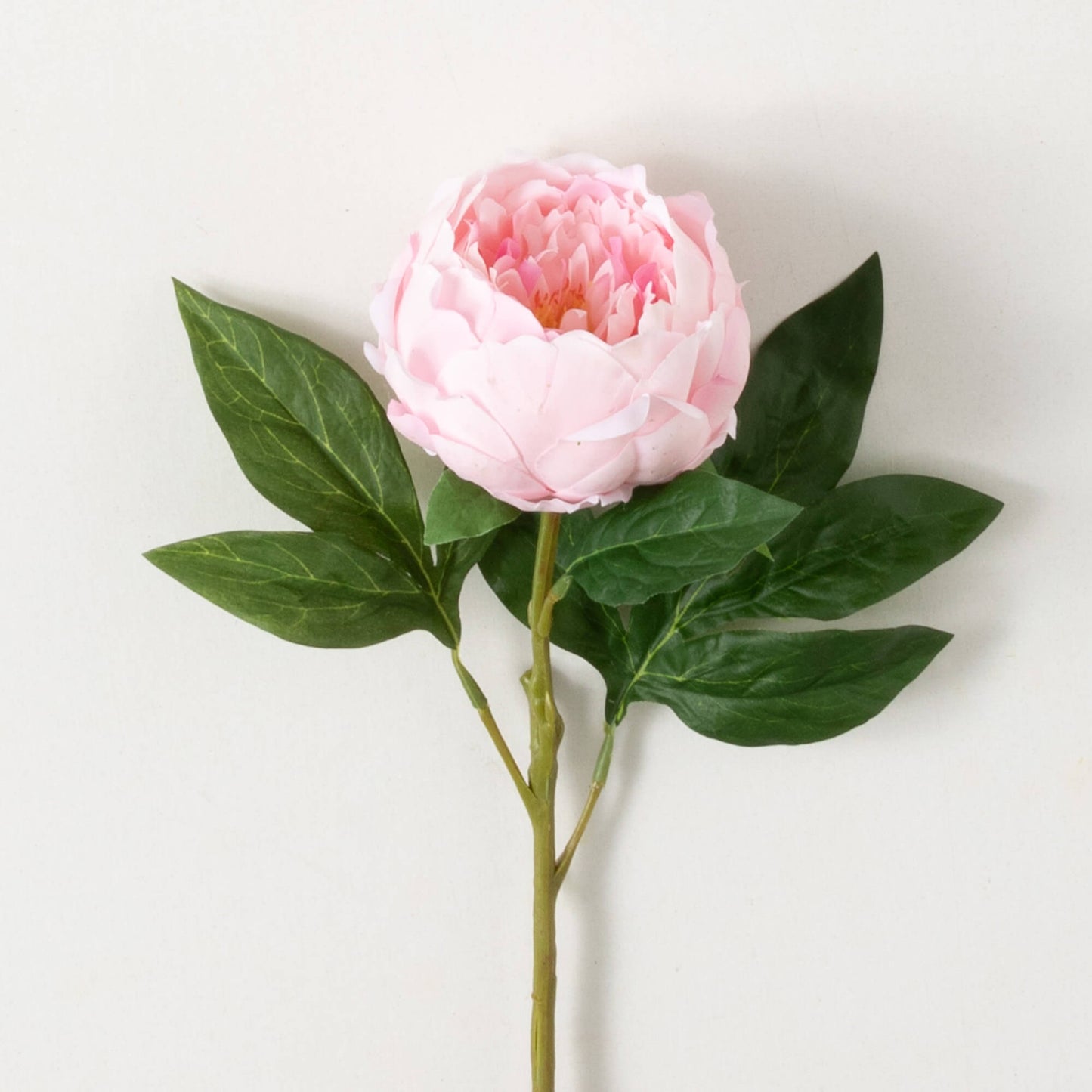 Light Pink Peony Spray
