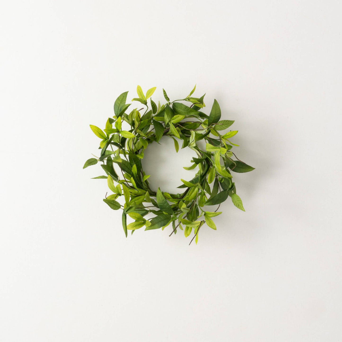 Ruscus Twig Ring 4.5 inches