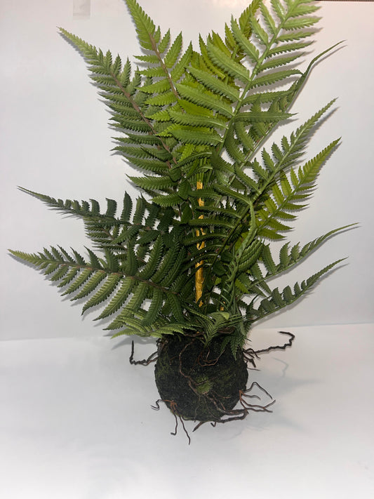 Faux Fern with Exposed Roots