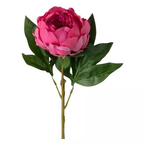 Dark Pink Peony Stem