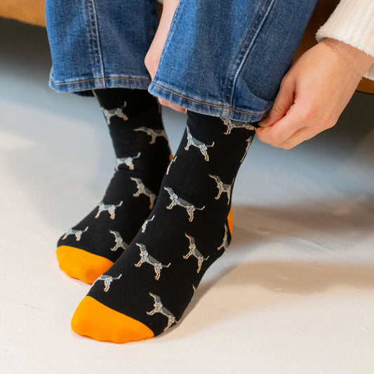Coonhound Dog Black Socks