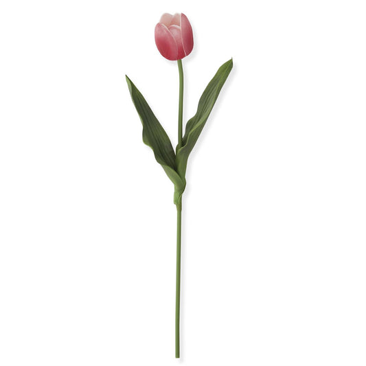 18.5 inch Rose Real Touch Tulip Stem