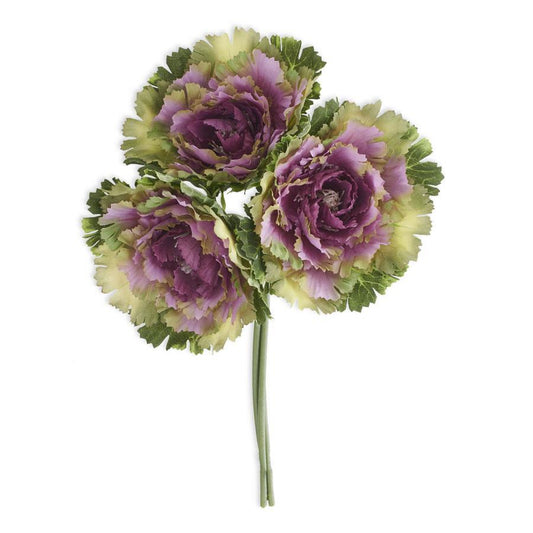 11.5 Inch Purple Cabbage Bundle