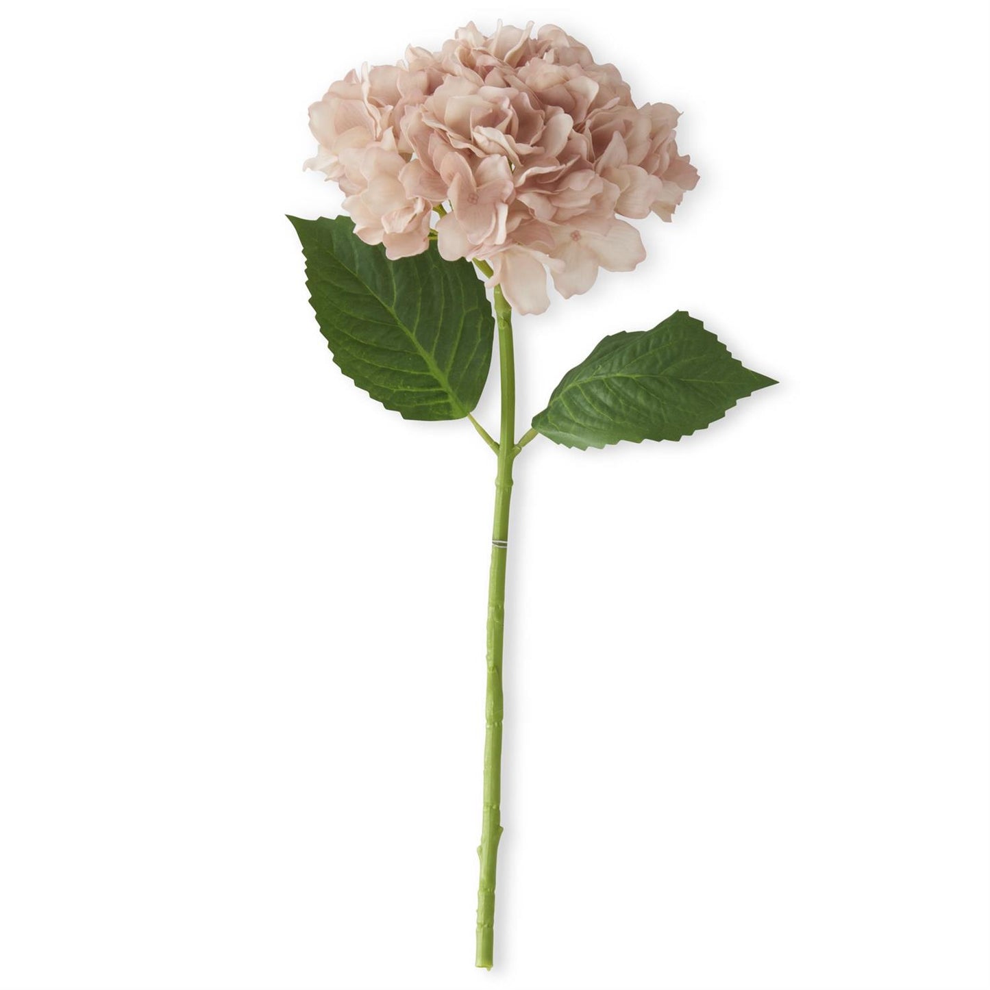 20 inch light Peach Real Touch Hydrangea Spray
