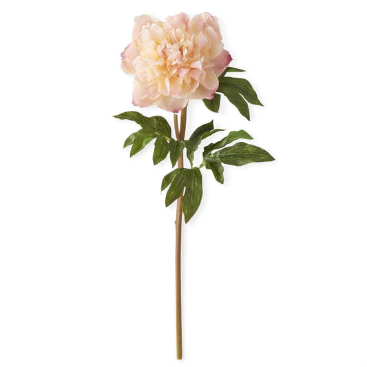 21.5 inch Coral Charm Real Touch peony Stem