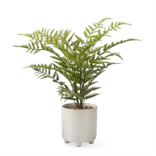 21 inch Maiden Hair Fern in Cream Embossed Ceramic