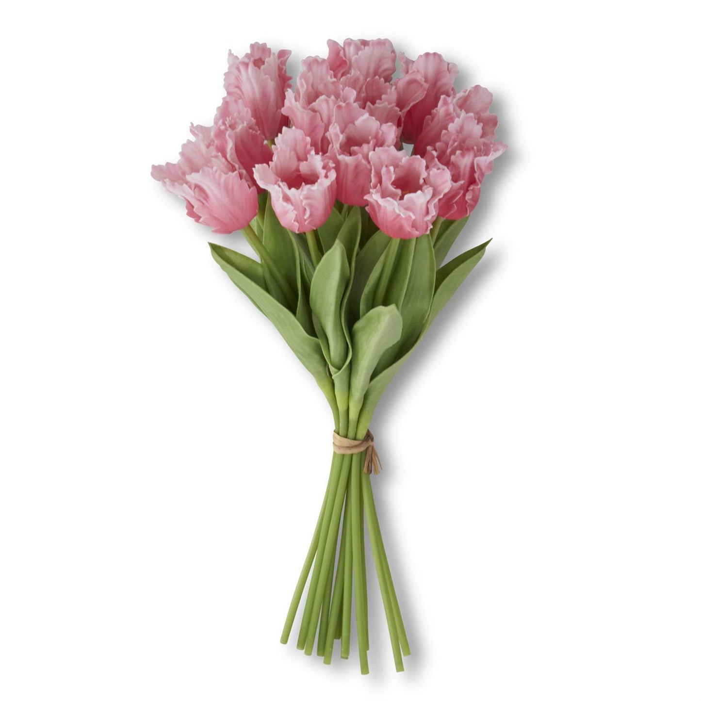 13 Inch Rose Real Touch Parrot Tulip Bundle (12 Stems)