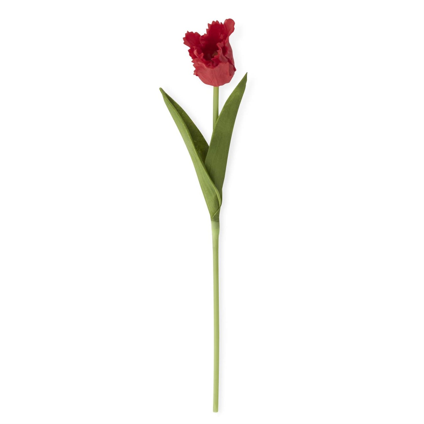 13 inch Red Real Touch Parrot Tulip