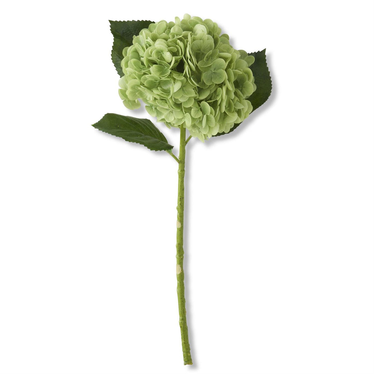 20 inch Green Real Touch Hydrangea Stem