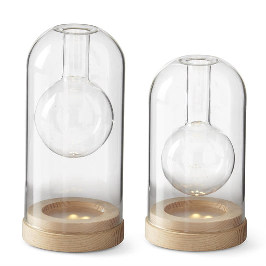 Clear Glass LED Cloche Bud Vase