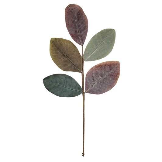 Magnolia Pick 19''