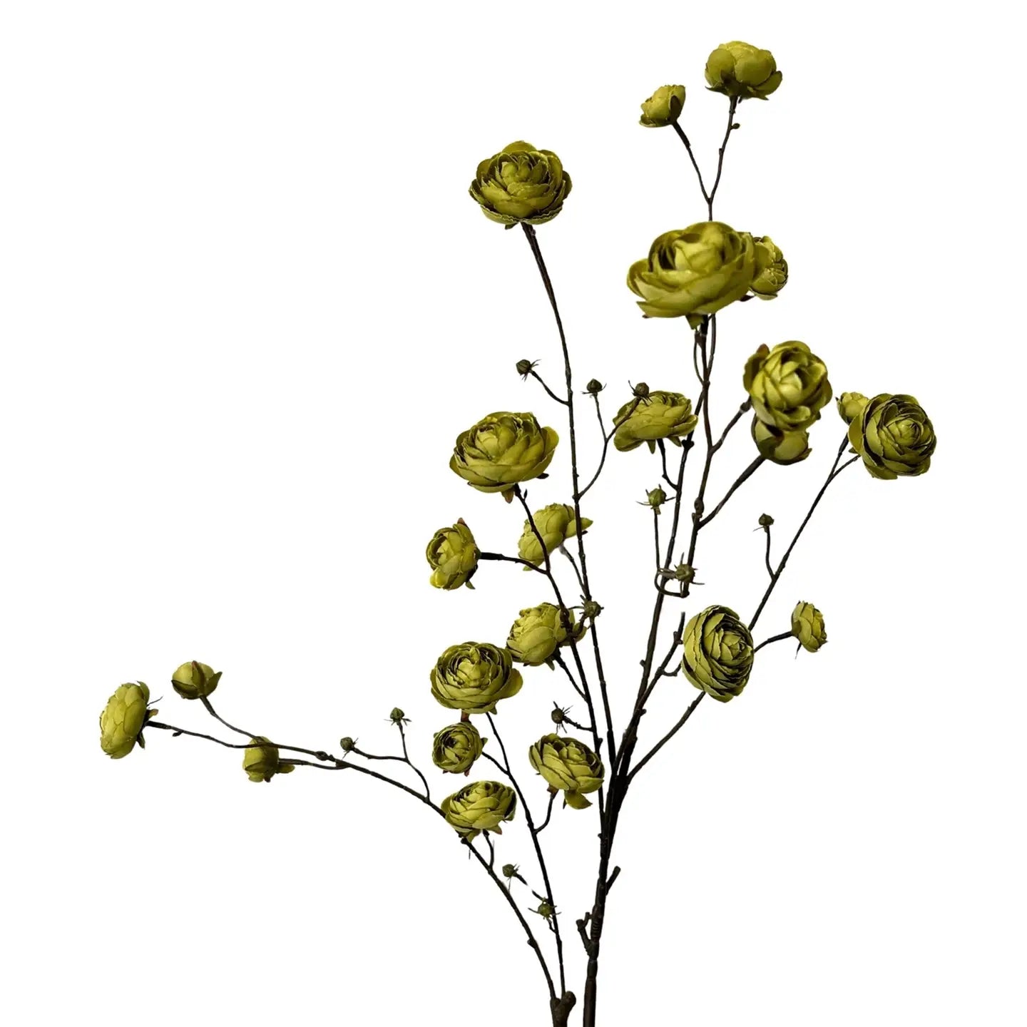 Blooming Ranunculus Branch 44" - Olive Green