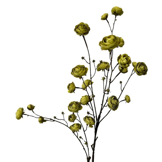 Blooming Ranunculus Branch 44" - Olive Green