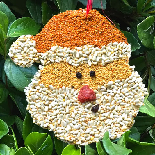 Santa Christmas Cookie