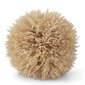 Tan Allium Stem