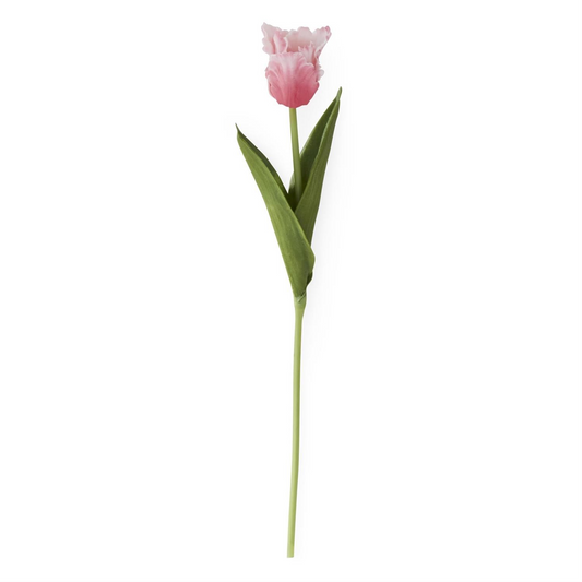10.5 Inch Rose Real Touch Parrot Tulip