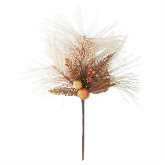 Yellow Long Needle Pine Fall Fruit Stem