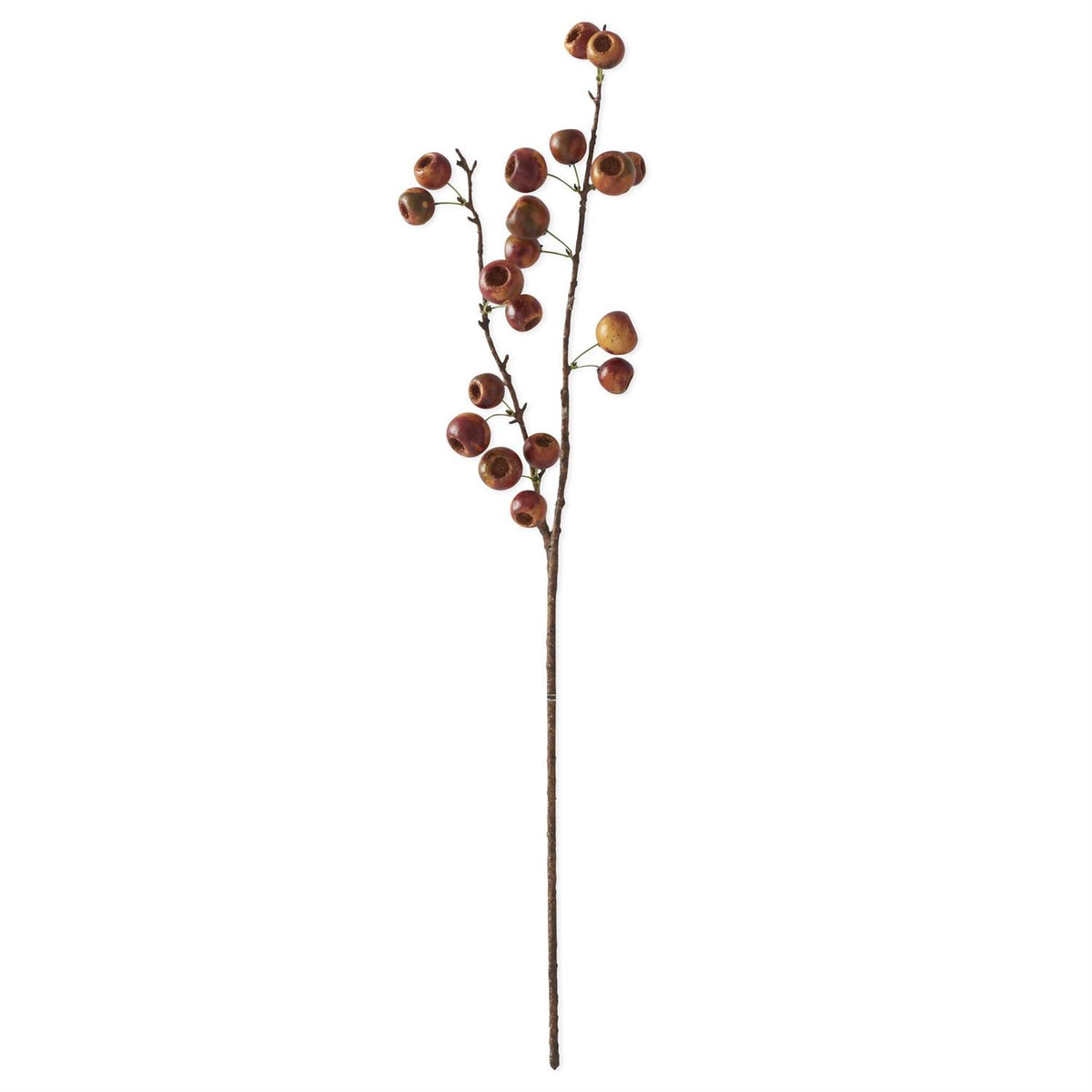 Brown Orange Pod Stem  27 inch