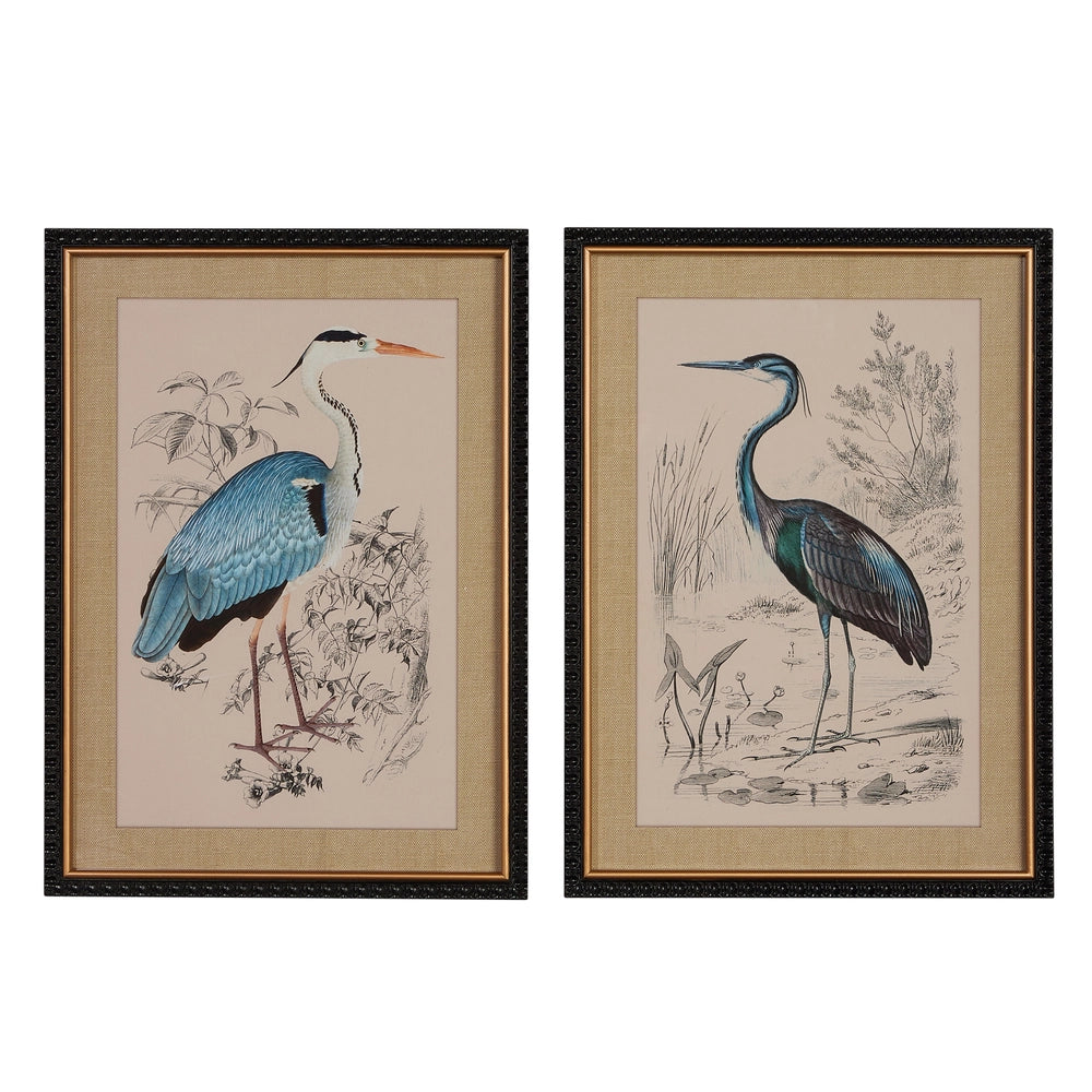 Herron Framed Print