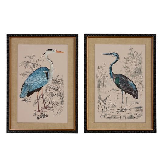 Herron Framed Print