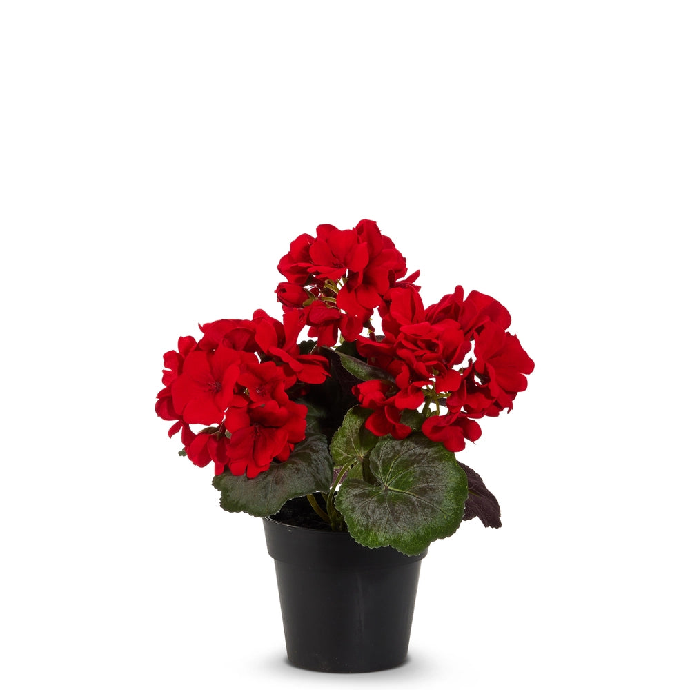 Red Potted Geranium  9.5 in